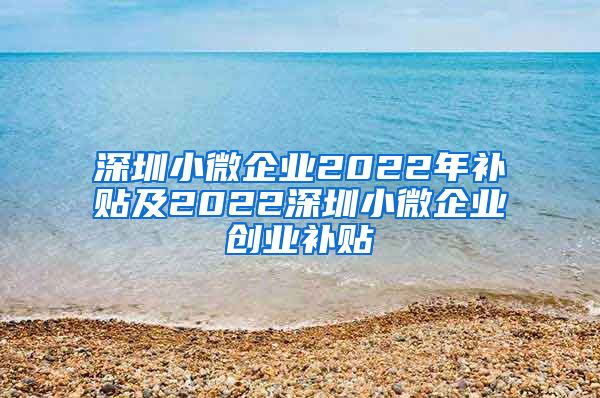 深圳小微企业2022年补贴及2022深圳小微企业创业补贴