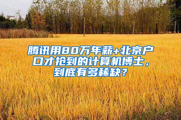 腾讯用80万年薪+北京户口才抢到的计算机博士，到底有多稀缺？