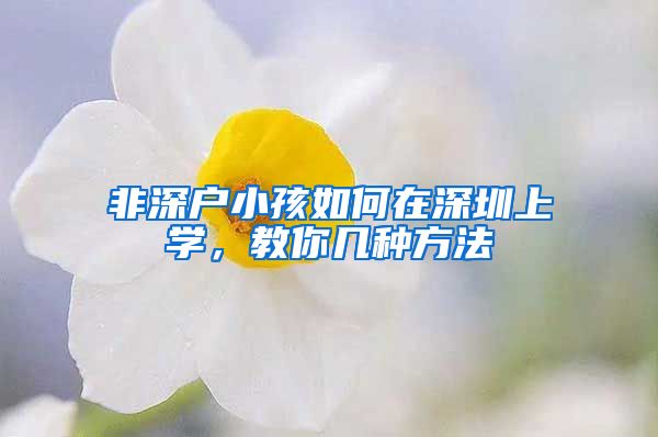 非深户小孩如何在深圳上学，教你几种方法