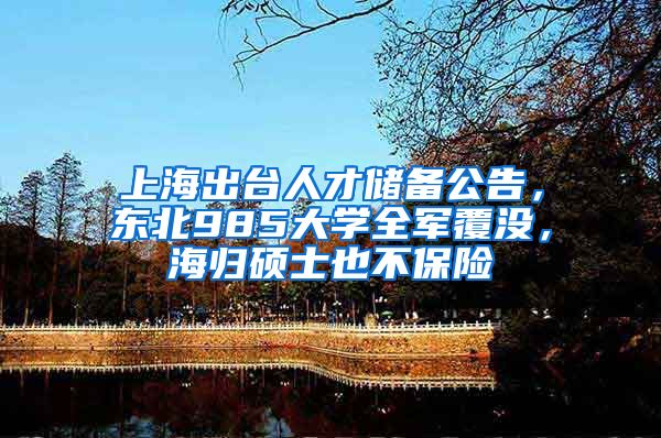 上海出台人才储备公告，东北985大学全军覆没，海归硕士也不保险