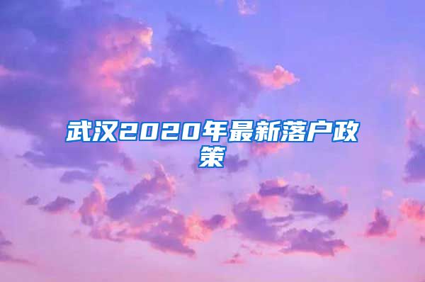 武汉2020年最新落户政策