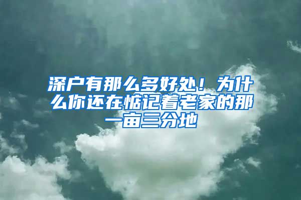 深户有那么多好处！为什么你还在惦记着老家的那一亩三分地