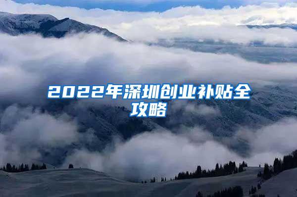 2022年深圳创业补贴全攻略