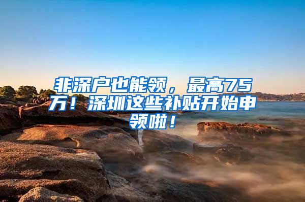 非深户也能领，最高75万！深圳这些补贴开始申领啦！