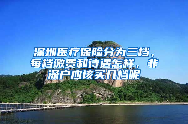 深圳医疗保险分为三档，每档缴费和待遇怎样，非深户应该买几档呢