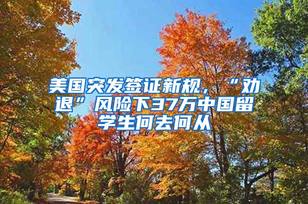 美国突发签证新规，“劝退”风险下37万中国留学生何去何从