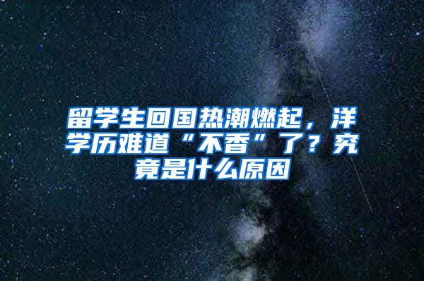 留学生回国热潮燃起，洋学历难道“不香”了？究竟是什么原因