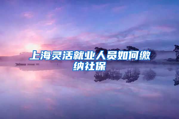 上海灵活就业人员如何缴纳社保