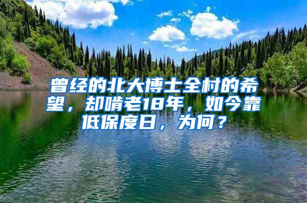 曾经的北大博士全村的希望，却啃老18年，如今靠低保度日，为何？