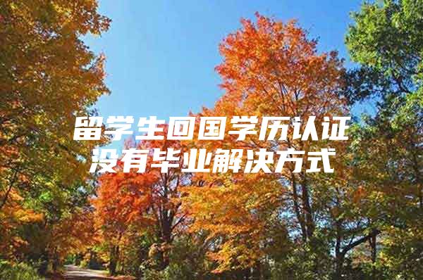 留学生回国学历认证没有毕业解决方式