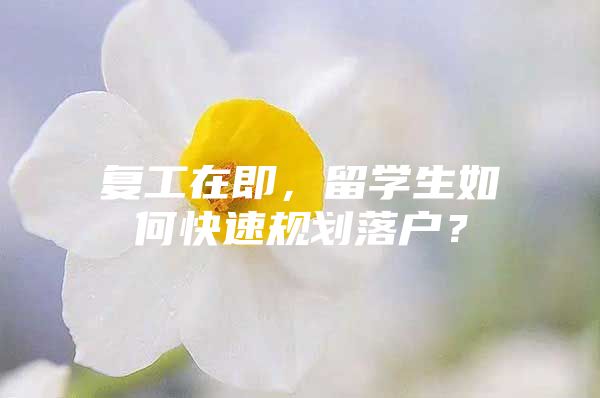 复工在即，留学生如何快速规划落户？