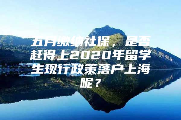 五月缴纳社保，是否赶得上2020年留学生现行政策落户上海呢？