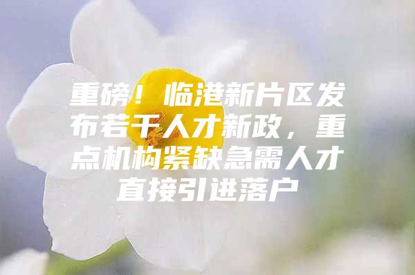 重磅！临港新片区发布若干人才新政，重点机构紧缺急需人才直接引进落户