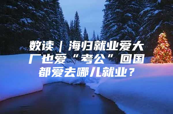 数读｜海归就业爱大厂也爱“考公”回国都爱去哪儿就业？