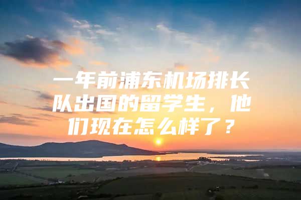 一年前浦东机场排长队出国的留学生，他们现在怎么样了？