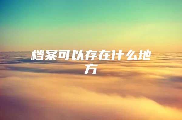 档案可以存在什么地方